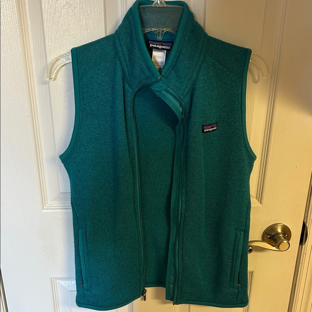 Patagonia Turquoise Fleece Vest